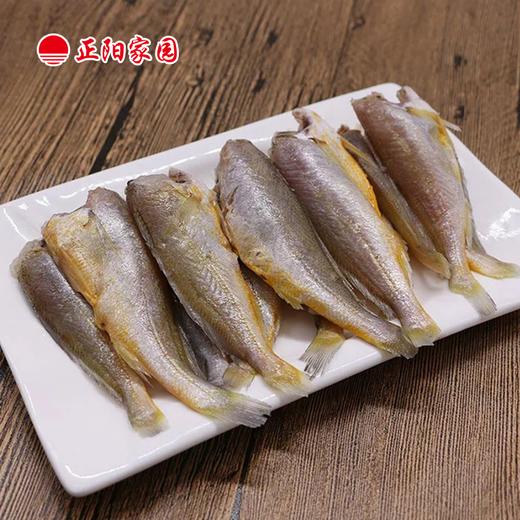 去头黄花鱼1300±10g 商品图5