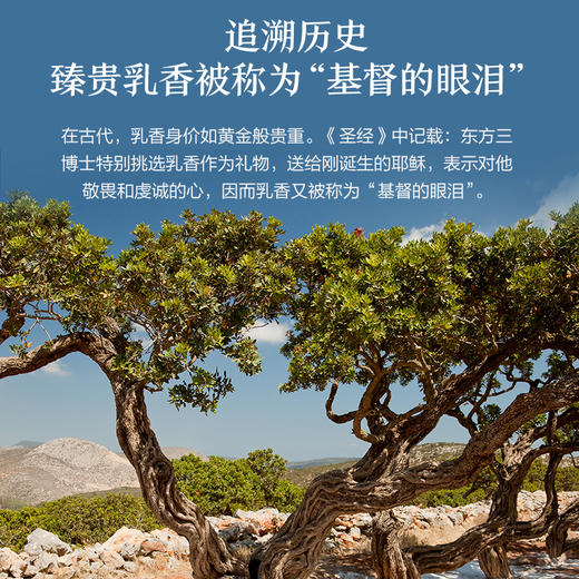 【购物即送精华资格】阿芙乳香精油10ml 紧致提拉面部护肤脸部JPY带授权招加盟代理 商品图2