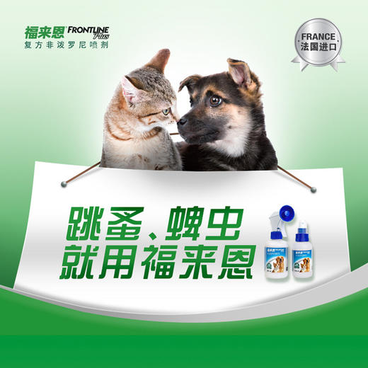 法国 福来恩 宠物体外喷剂杀虫药 猫狗通用 驱虫喷剂 去除蜱虫跳蚤 商品图3