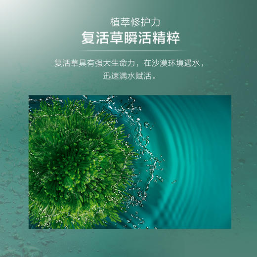 【新品首发 购物即送精华资格】阿芙复活草储水赋活面霜 保湿修护JPY带授权招加盟代理 商品图3
