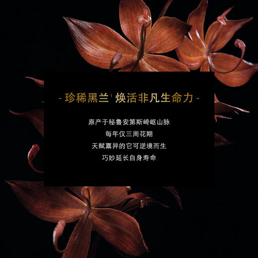 娇兰御廷兰花臻兰面霜JPY带授权招加盟代理 商品图1