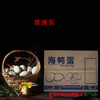 【全国包邮】味哲海鸭蛋（72小时内发货） 商品缩略图3