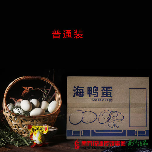 【全国包邮】味哲海鸭蛋（72小时内发货） 商品图3