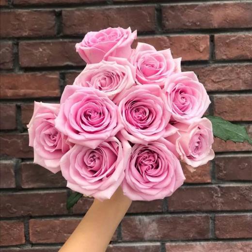 方德 玫瑰 赫拉 10支装 60cm左右 超长花期 质量保证