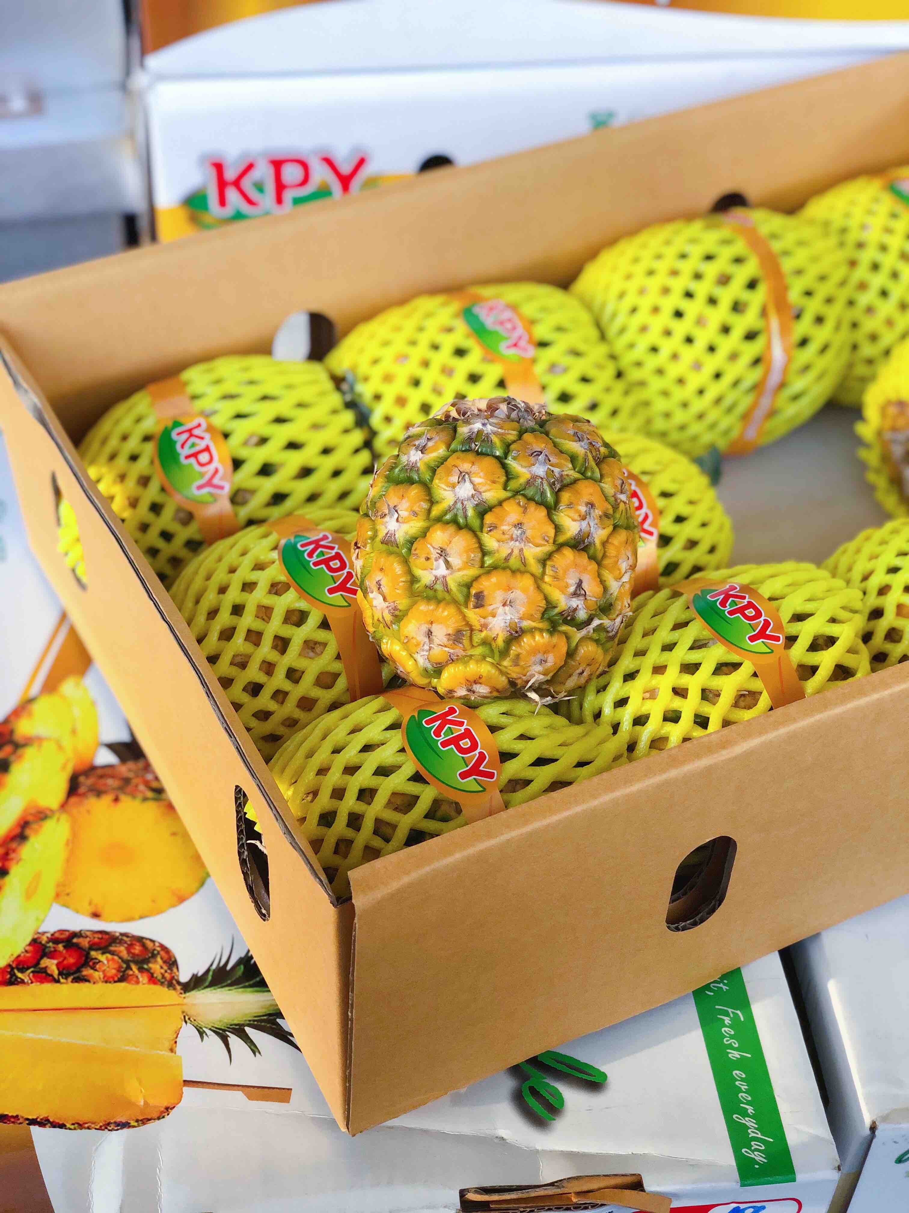 kpy小菠萝泰国kpy香水小菠萝菠萝味特别浓郁香甜的果肉健胃消食天然