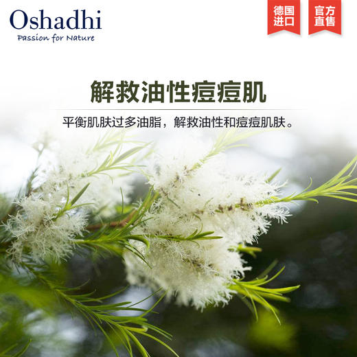 Oshadhi德国O家茶树纯露花水控油清爽清洁毛孔爽肤水化妆水护肤品JPY带授权招加盟代理 商品图3