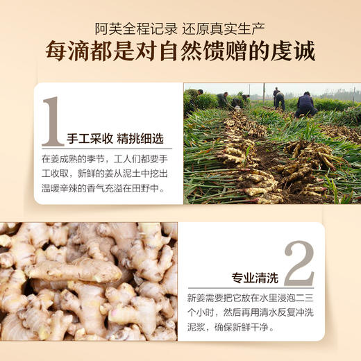 【购物即送精华资格】阿芙姜精油10ml 全身身体按摩油推护发生姜JPY带授权招加盟代理 商品图2