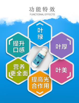 【肥料】葱类叶面增产好搭档/新老包装随机发货 商品图1