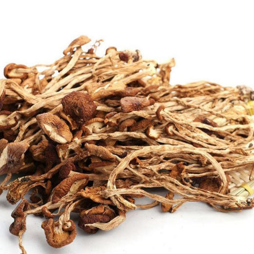 信洲有机茶树菇120g 商品图2