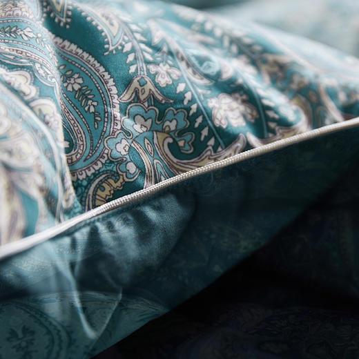 圣劳伦斯可水洗鹅绒冬被 商品图1