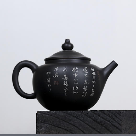 熊廷献壶 商品图1