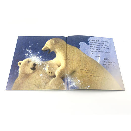 自然故事全三辑（全24册）浪花朵朵  后浪出版 商品图1