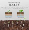 【肥料】矿源黄腐酸钾 商品缩略图4