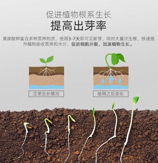 【肥料】矿源黄腐酸钾 商品图4