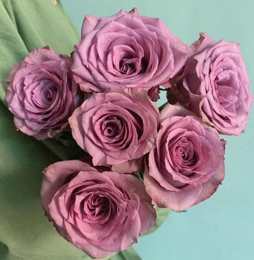 林奇玫瑰随心c级10支装超长花期质量保证