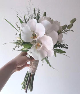 【幸福自来】蝴蝶兰高端定制款(提前2天)