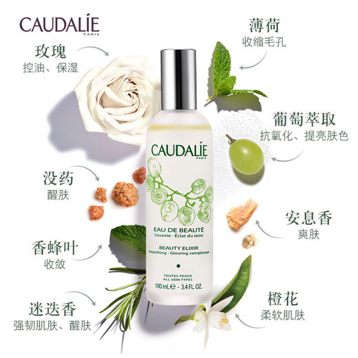 法国正品欧缇丽皇后水大葡萄活性精华收缩毛孔定妆控油化妆爽肤水JPY带授权招加盟代理 商品图2