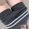 秋冬季棉质打底裤女新款加绒外穿高腰收腹保暖弹力瑜伽紧身长裤子 商品缩略图1