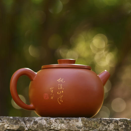 王天龙壶 商品图1