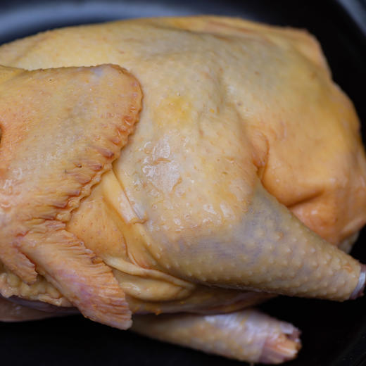 黄山放养母鸡 商品图1