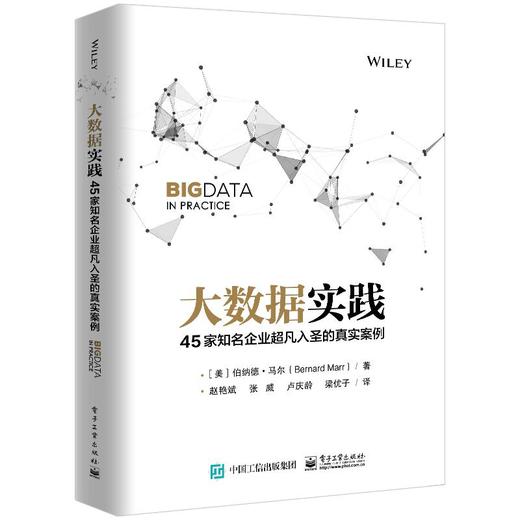 大数据实践 45家知名企业超凡入圣的真实案例 商品图0