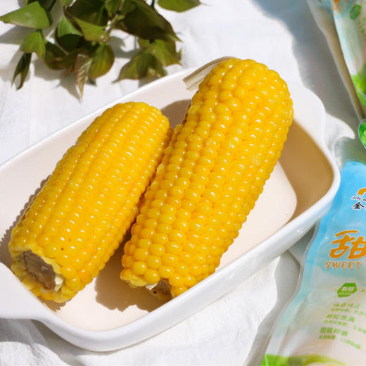 东北富硒黄金小玉米,清香黏糯,营养丰富,好吃不长胖!