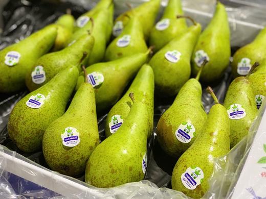 进口专区荷兰比利时新鲜啤梨新鲜水果3斤装