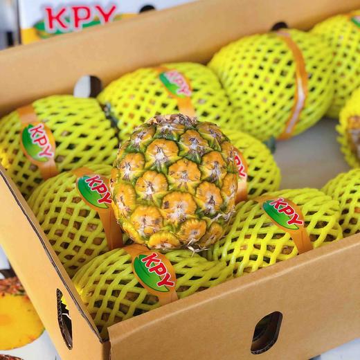 【KPY小菠萝】泰国KPY香水小菠萝，菠萝味特别浓郁，香甜的果肉，健胃消食，天然酵素！ 商品图7