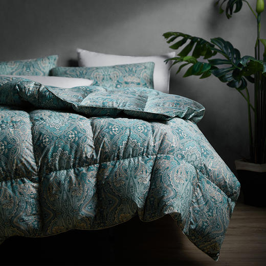 圣劳伦斯可水洗鹅绒冬被 商品图3