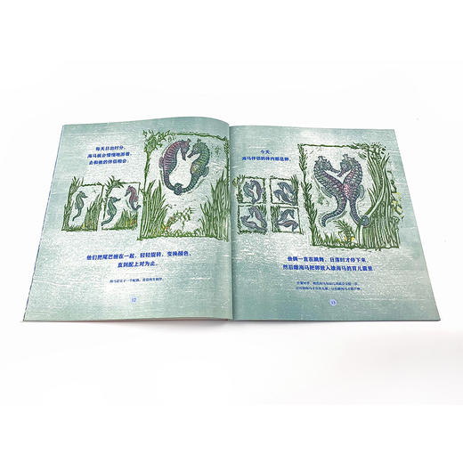 自然故事全三辑（全24册）浪花朵朵  后浪出版 商品图7