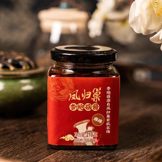 社区团购 凤归巢 杏鲍菇酱210g*2瓶（原味、麻辣两种口味任选）包邮 商品图1