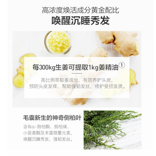 阿芙生姜头皮洗发露护发乳套装 洗发水护发素修护干枯控油无硅油JPY带授权招加盟代理 商品图1