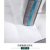远梦抗菌芯柔定型枕 商品缩略图2