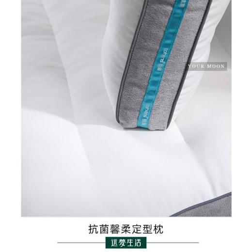 远梦抗菌芯柔定型枕 商品图2