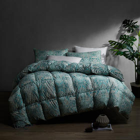 圣劳伦斯可水洗鹅绒冬被