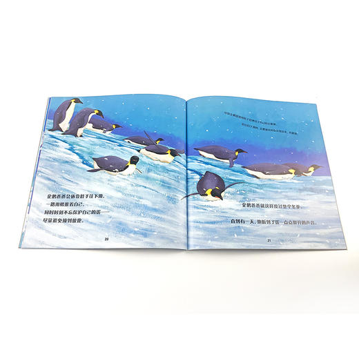 自然故事全三辑（全24册）浪花朵朵  后浪出版 商品图2