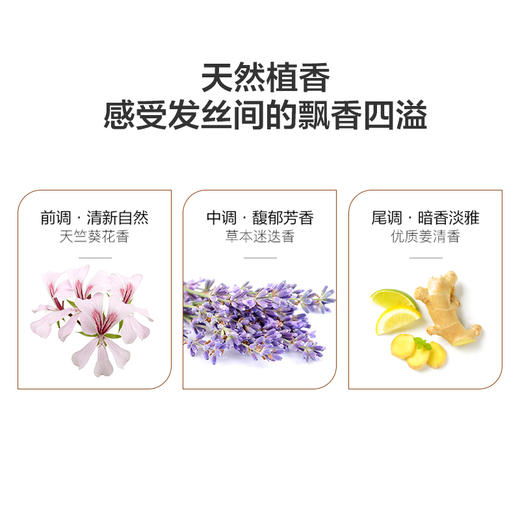 阿芙生姜头皮洗发露护发乳套装 洗发水护发素修护干枯控油无硅油JPY带授权招加盟代理 商品图2