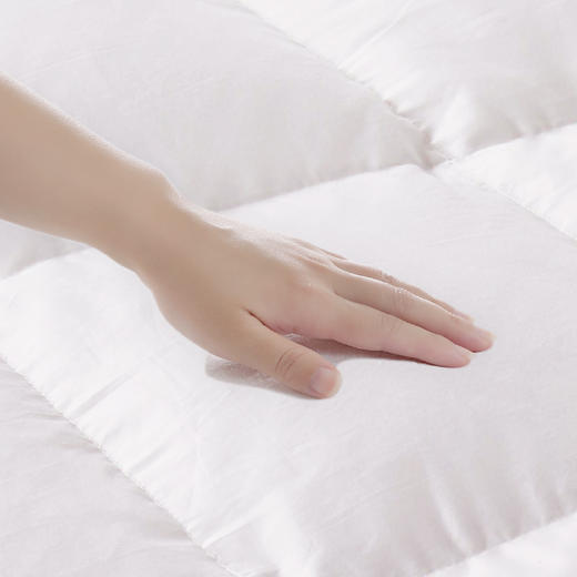 进口奥丽薇亚鹅绒被拒污PLUS 商品图2