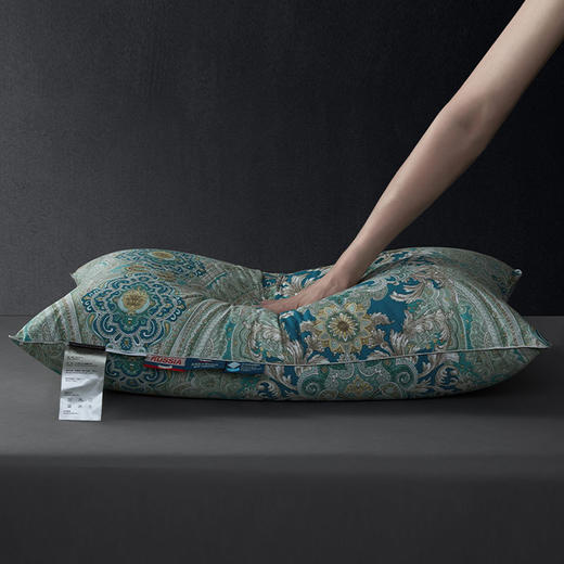 菲尔德可水洗鹅绒枕 商品图1