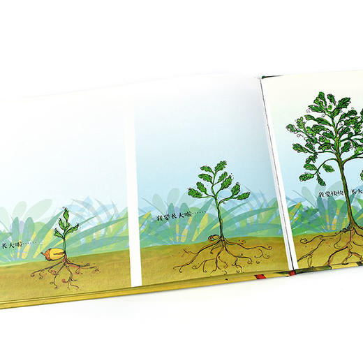 幸福的小种子 商品图6