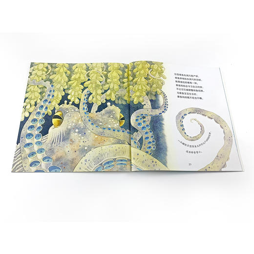 自然故事全三辑（全24册）浪花朵朵  后浪出版 商品图14