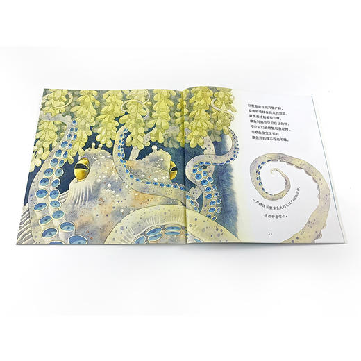 自然故事全三辑（全24册）浪花朵朵  后浪出版 商品图14