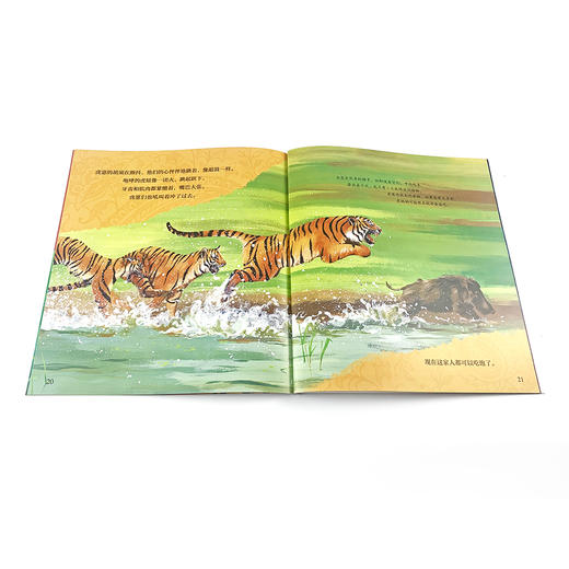 自然故事全三辑（全24册）浪花朵朵  后浪出版 商品图6