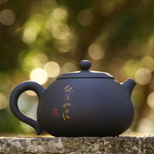 王天龙壶 商品图1