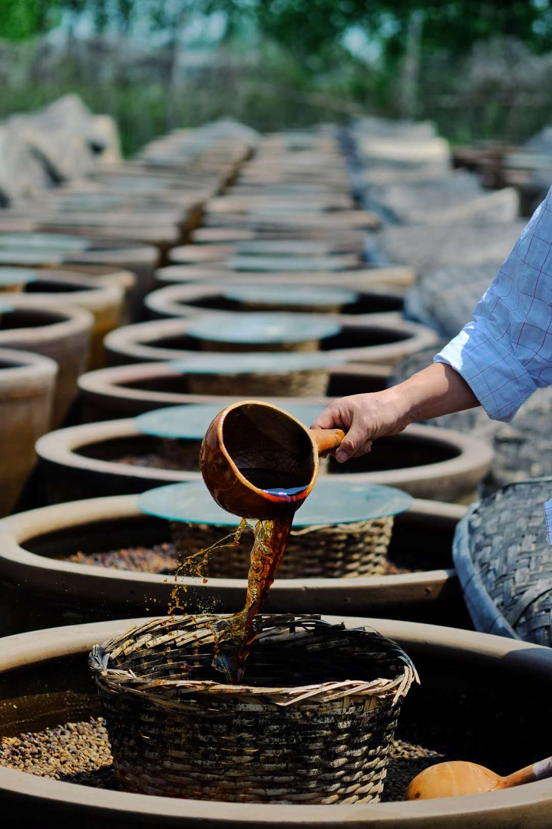 古法陶缺釀造晾曬傳統手工醬油海鮮蒸魚頭抽川香辣日曬夜露365天