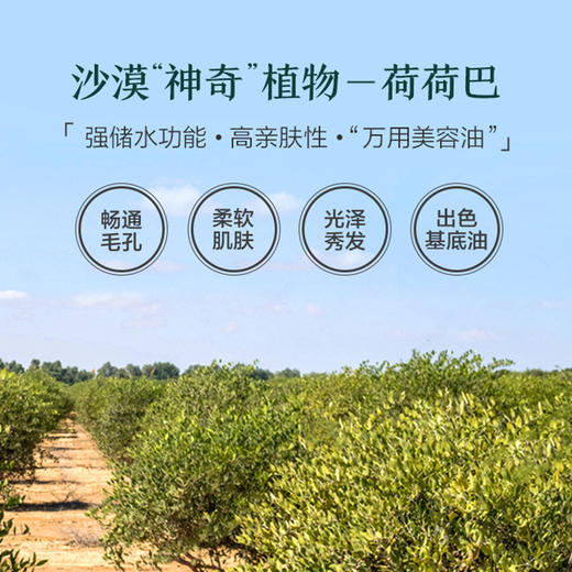 【兑换卡】阿芙荷荷巴油/霍霍巴油 黑头30mlJPY带授权招加盟代理 商品图3