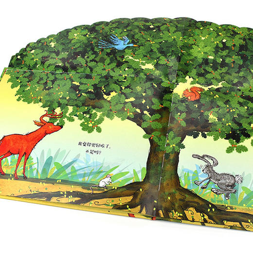 幸福的小种子 商品图5