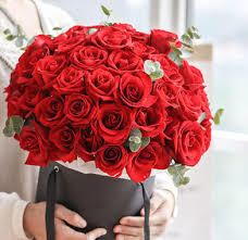 1211测试 商品图0