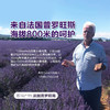 Oshadhi德国O家高地薰衣草纯露花水花露平衡水油痘痘肌爽肤水JPY带授权招加盟代理 商品缩略图2