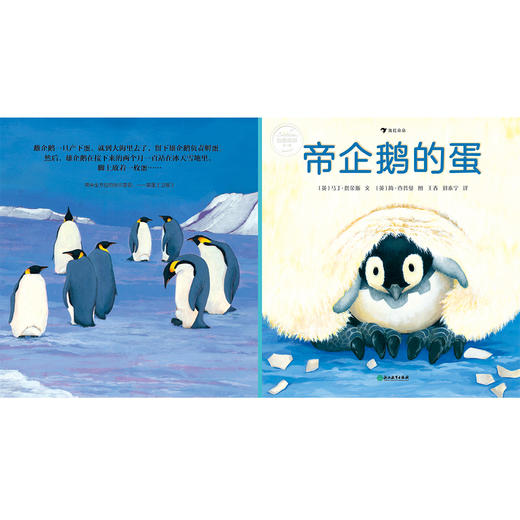 自然故事全三辑（全24册）浪花朵朵  后浪出版 商品图4